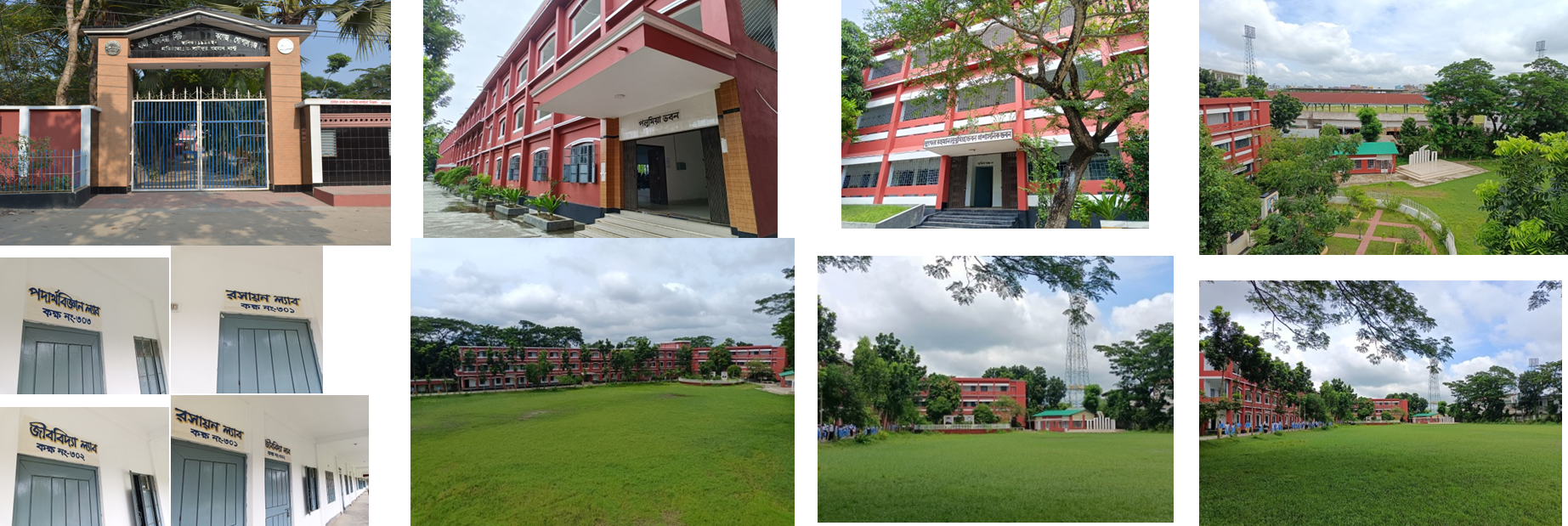 কলেজ ক্যানভাস Picture